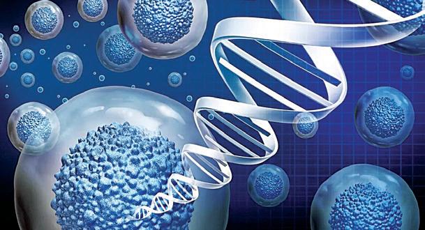Alkem Foundation and IIT-B to set up advanced research centre for immuno- therapeutics and regenerative medicines